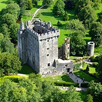 See Blarney Castle this Spring