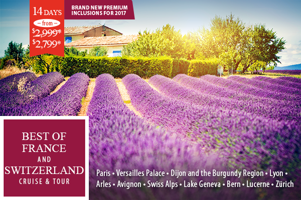Lavender farm in Provence