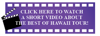 best-of-hawaii-video-call-out.png